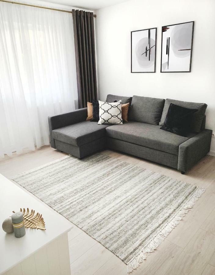 Mhc Quiet Deluxe Suite Near Downtown - Free Parking Braşov Exteriör bild