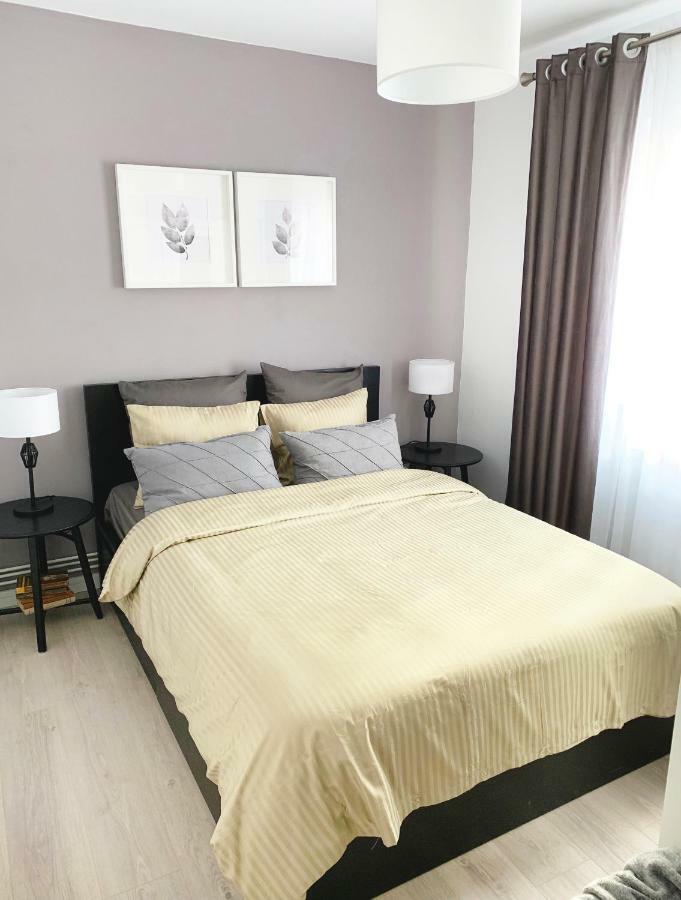 Mhc Quiet Deluxe Suite Near Downtown - Free Parking Braşov Exteriör bild